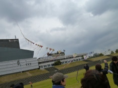 P1000090.JPG