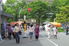 IMGP4741.JPG